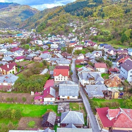 Pensiunea Axenia Ale Vişeu de Sus Exterior foto