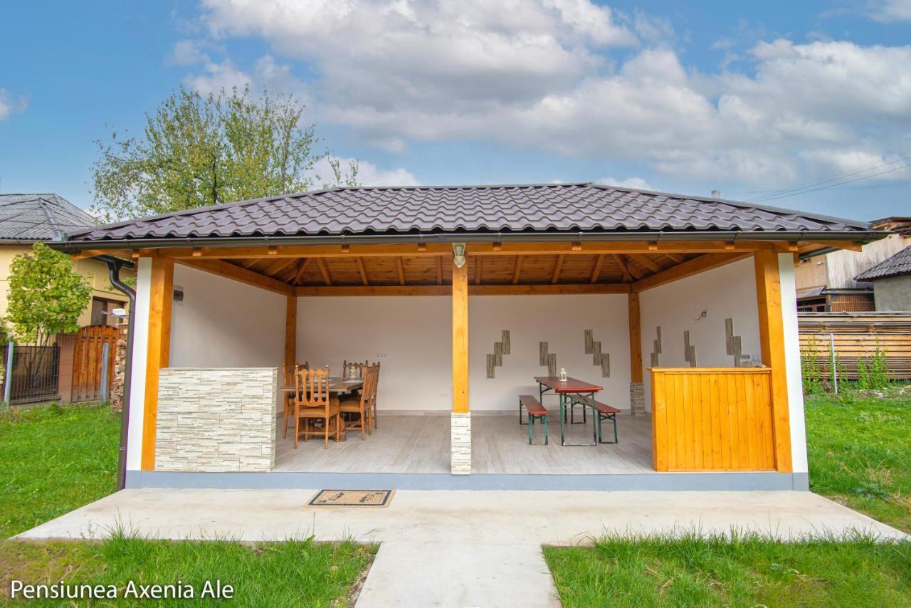 Pensiunea Axenia Ale Vişeu de Sus Exterior foto