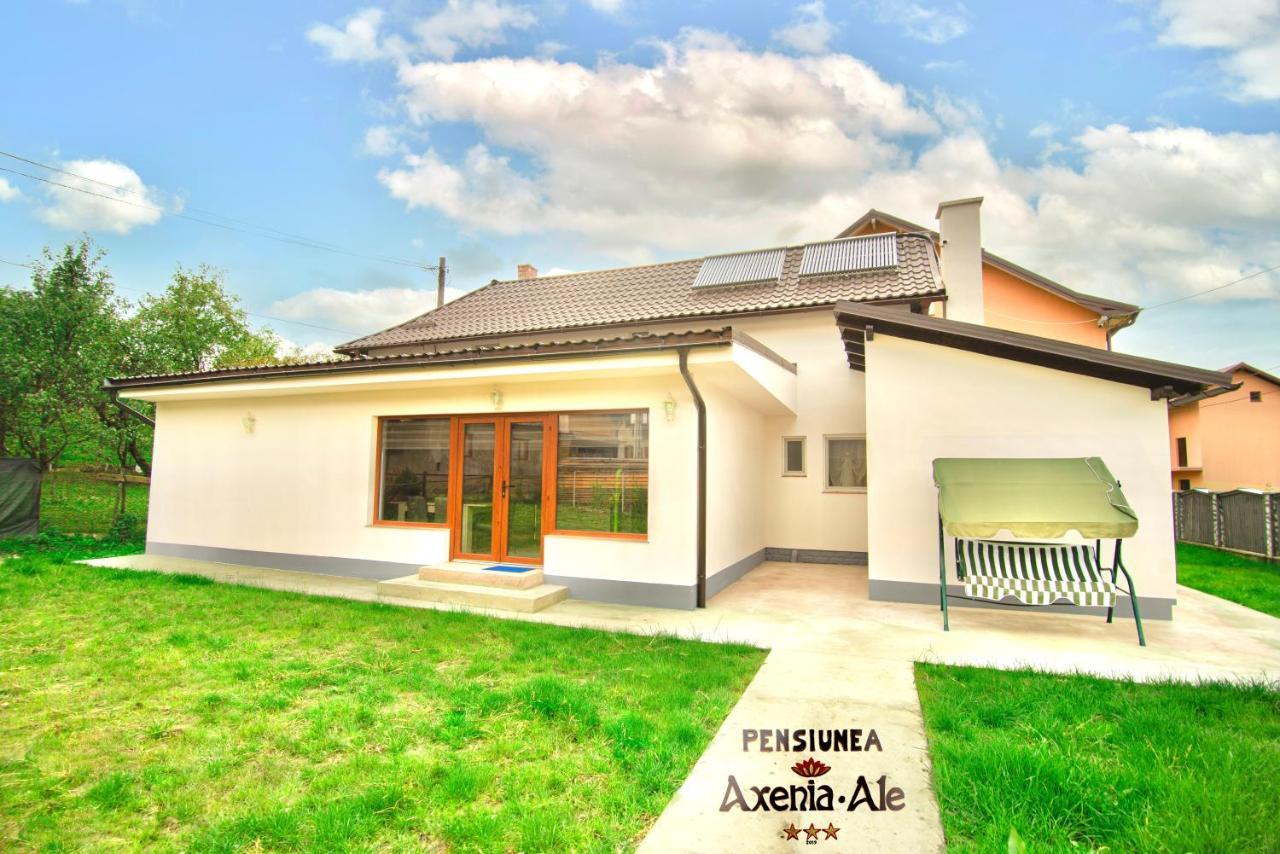 Pensiunea Axenia Ale Vişeu de Sus Exterior foto