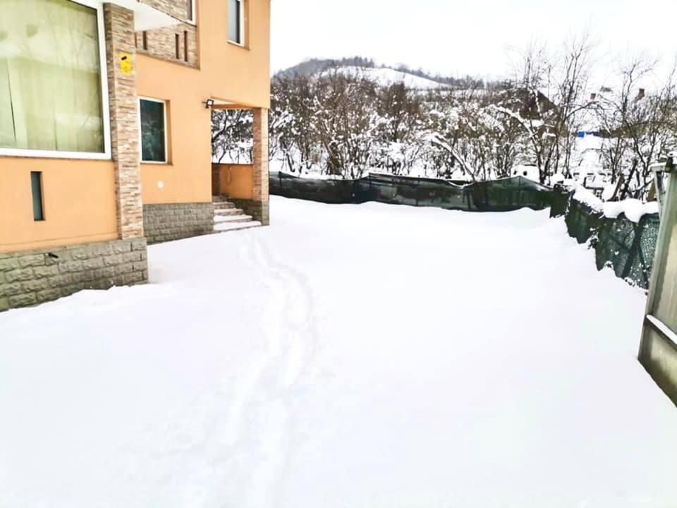 Pensiunea Axenia Ale Vişeu de Sus Exterior foto