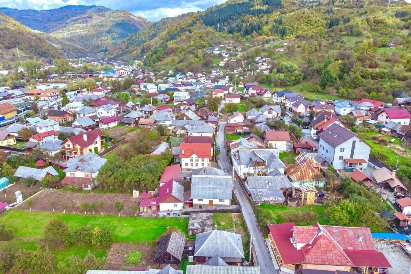 Pensiunea Axenia Ale Vişeu de Sus Exterior foto